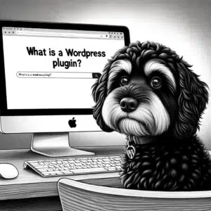 cavoodle what is a plugin
