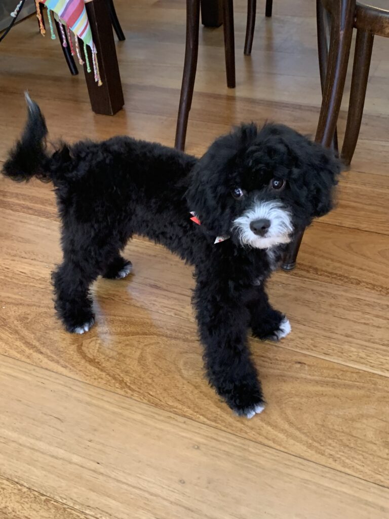 Fergus