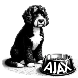 cavoodle ajax