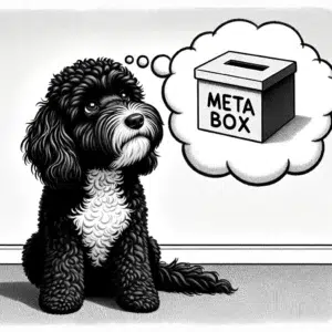 cavoodle meta box