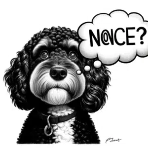 cavoodle nonce
