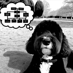 cavoodle in a park thinking about website taxonomy
